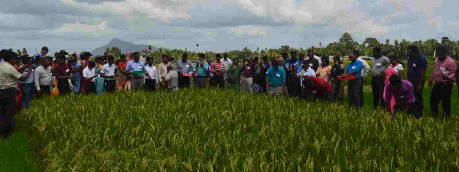FAO trains 300 Agri Officers under EU project